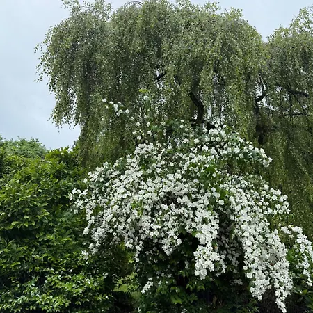 Daire Prinz Ole Haan