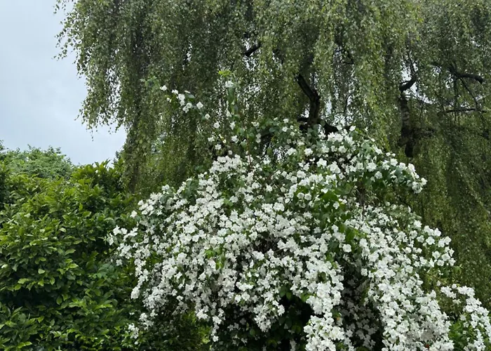 Appartement Prinz Ole Haan